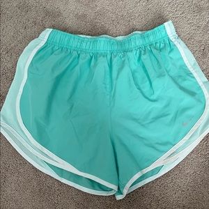 Nike Dri-Fit seafoam, teal shorts. Large.